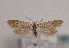  ( - TLMF Lep 01453)  @13 [ ] CreativeCommons - Attribution Non-Commercial Share-Alike (2010) Unspecified Tiroler Landesmuseen