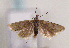  ( - TLMF Lep 01457)  @13 [ ] CreativeCommons - Attribution Non-Commercial Share-Alike (2010) Unspecified Tiroler Landesmuseen