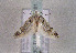  ( - TLMF Lep 01481)  @13 [ ] Copyright  TLMF 2010 Unspecified