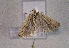  ( - TLMF Lep 01491)  @12 [ ] Copyright  TLMF 2010 Unspecified
