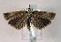  ( - TLMF Lep 01519)  @13 [ ] Copyright  TLMF 2010 Unspecified