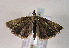  ( - TLMF Lep 01520)  @13 [ ] Copyright  TLMF 2010 Unspecified