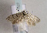  ( - TLMF Lep 01527)  @12 [ ] Copyright  TLMF 2010 Unspecified