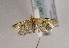  ( - TLMF Lep 01542)  @12 [ ] Copyright  TLMF 2010 Unspecified