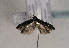  ( - TLMF Lep 01559)  @13 [ ] Copyright  TLMF 2010 Unspecified