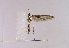 ( - TLMF Lep 01563)  @12 [ ] Copyright  TLMF 2010 Unspecified