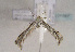  ( - TLMF Lep 01567)  @12 [ ] Copyright  TLMF 2010 Unspecified