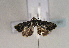  ( - TLMF Lep 01587)  @13 [ ] Copyright  TLMF 2010 Unspecified