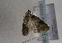  ( - TLMF Lep 01633)  @12 [ ] Copyright  TLMF 2010 Unspecified