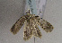  ( - TLMF Lep 01641)  @13 [ ] Copyright  TLMF 2010 Unspecified