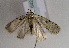  ( - TLMF Lep 01642)  @13 [ ] Copyright  TLMF 2010 Unspecified