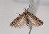  ( - TLMF Lep 01650)  @13 [ ] Copyright  TLMF 2010 Unspecified