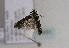  ( - TLMF Lep 01651)  @13 [ ] Copyright  TLMF 2010 Unspecified