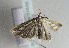  ( - TLMF Lep 01656)  @12 [ ] Copyright  TLMF 2010 Unspecified