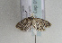  ( - TLMF Lep 01659)  @13 [ ] Copyright  TLMF 2010 Unspecified