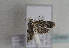  ( - TLMF Lep 01660)  @13 [ ] Copyright  TLMF 2010 Unspecified
