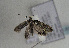  ( - TLMF Lep 01667)  @12 [ ] Copyright  TLMF 2010 Unspecified