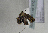  ( - TLMF Lep 01673)  @12 [ ] Copyright  TLMF 2010 Unspecified