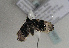  ( - TLMF Lep 01677)  @12 [ ] Copyright  TLMF 2010 Unspecified