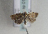 ( - TLMF Lep 01682)  @13 [ ] Copyright  TLMF 2010 Unspecified