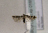  ( - TLMF Lep 01697)  @13 [ ] Copyright  TLMF 2010 Unspecified
