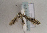  ( - TLMF Lep 01715)  @12 [ ] Copyright  TLMF 2010 Unspecified
