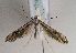  ( - TLMF Lep 01716)  @12 [ ] Copyright  TLMF 2010 Unspecified