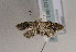  ( - TLMF Lep 01719)  @14 [ ] Copyright  TLMF 2010 Unspecified