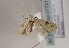  ( - TLMF Lep 01721)  @13 [ ] Copyright  TLMF 2010 Unspecified
