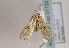  ( - TLMF Lep 01722)  @13 [ ] Copyright  TLMF 2010 Unspecified