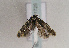  ( - TLMF Lep 01725)  @13 [ ] Copyright  TLMF 2010 Unspecified