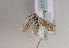  ( - TLMF Lep 01729)  @13 [ ] Copyright  TLMF 2010 Unspecified