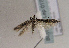  ( - TLMF Lep 01736)  @13 [ ] Copyright  TLMF 2010 Unspecified