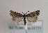  ( - TLMF Lep 01771)  @13 [ ] Copyright  TLMF 2010 Unspecified