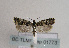  ( - TLMF Lep 01773)  @13 [ ] Copyright  TLMF 2010 Unspecified