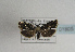  ( - TLMF Lep 01805)  @12 [ ] Copyright  TLMF 2010 Unspecified