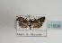  ( - TLMF Lep 01806)  @12 [ ] Copyright  TLMF 2010 Unspecified