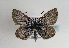  ( - TLMF Lep 01820)  @13 [ ] Copyright  TLMF 2010 Unspecified