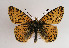  ( - TLMF Lep 01837)  @14 [ ] Copyright  TLMF 2010 Unspecified