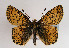  ( - TLMF Lep 01838)  @13 [ ] Copyright  TLMF 2010 Unspecified