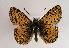  ( - TLMF Lep 01839)  @13 [ ] Copyright  TLMF 2010 Unspecified