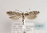  ( - TLMF Lep 01850)  @13 [ ] Copyright  TLMF 2010 Unspecified