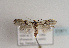  ( - TLMF Lep 01871)  @13 [ ] Copyright  TLMF 2010 Unspecified