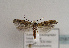 ( - TLMF Lep 01872)  @13 [ ] Copyright  TLMF 2010 Unspecified
