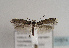  ( - TLMF Lep 01874)  @13 [ ] Copyright  TLMF 2010 Unspecified