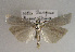  ( - TLMF Lep 01889)  @13 [ ] Copyright  TLMF 2010 Unspecified