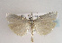  ( - TLMF Lep 01890)  @14 [ ] Copyright  TLMF 2010 Unspecified