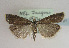  ( - TLMF Lep 01891)  @14 [ ] Copyright  TLMF 2010 Unspecified