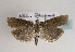  ( - TLMF Lep 01892)  @14 [ ] Copyright  TLMF 2010 Unspecified