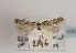  ( - TLMF Lep 01899)  @13 [ ] Copyright  TLMF 2010 Unspecified